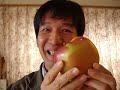 Apple Ocarina-Mary Had a Little Lamb-