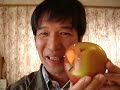 Apple Ocarina-Mary Had a Little Lamb- Apple Ocarina-Mary Had a Little Lamb-