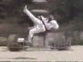 Taekwondo wtf - ESPETACULAR!!!