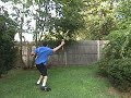 Gun hits test