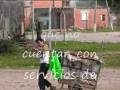 videos de transparency international