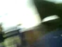 bailes del miduho
