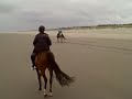 Long Beach Washington Bald Eagle Footage