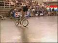 Simon Stojko Falk-BMX world champion flatland expert 20+
