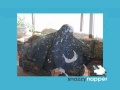 Snazzy Napper - YouTube