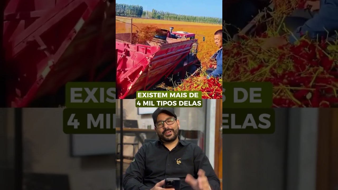 O mercado bilionário da pimenta que pouca gente conhece 🌶️ #curiosidades #agro #mercado