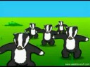 Badger song