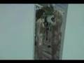 Eva and Franco Mattes, Synthetic Performances