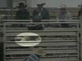 Inhumane Bull Shocking in Pennsylvania Rodeo