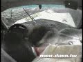 une acssident de voiture de course