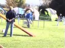 Dion und Maja, K�ngen, 27.09.08, A1