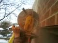 Stuy and his concrete saw