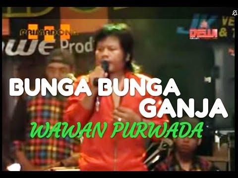 BUNGA BUNGA GANJA WAWAN PURWADA_Music By PRIMADONA MUSIC DANGDUT JEPARA BUNGA BUNGA GANJA WAWAN PURWADA_Music By PRIMADONA MUSIC DANGDUT JEPARA