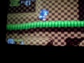 sonic the hedgehog genesis glitch
