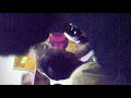 28112009035.mp4