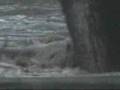 brecksville flood june 22, 2006