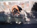 sampler xapega "parkour y triks en sanQ"