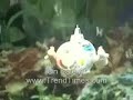 RC (Remote Control) Submarine Toy Is Great Fun RC (Remote Control) Submarine Toy Is Great Fun