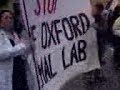 SPEAK, oxford demo 2008, speech beginning SPEAK, oxford demo 2008, speech beginning