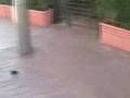 1337Planet 2nd Anniversary Video 3/4