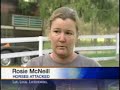 Horses Mauled By Pit Bulls