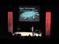 Videothumbnail: TEDxBerlin 2010 "Fantastic Reality: How We Shape Our Future": Philipp Selenko - "Molecular Architecture"