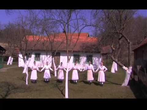 Kirjales- Zori se, dani se