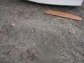 Te Anau Easter Sailing Pt 1