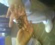 kye holding red knee tarantular