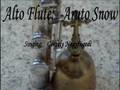 The Bells of Notre Dame (flute by Aruto,I sing)-(Hungarian)