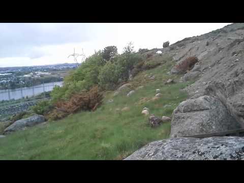 Mener inngjerdingen ikke har v�rt forsvarlig
