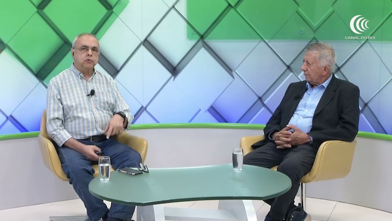 Saída do boi a pasto gera oferta e queda nos preços