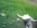 videos de Skem Leap Frog gone wrong