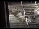Bam Margera - JACKASS