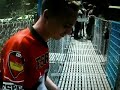 Bungy jump Nepal