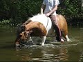 Bennyn muistolle
