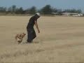 Perros de Busqueda y Rescate - Busqueda Rural Perros de Busqueda y Rescate - Busqueda Rural