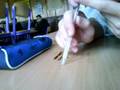 videos de Mazur GT  eXtreme movie xD
