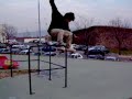 ollie