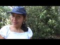 El Pital - El Salvador (19).mpg