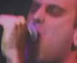 screeching weasel - i wrote holden caulfield