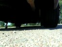 tbss exhaust