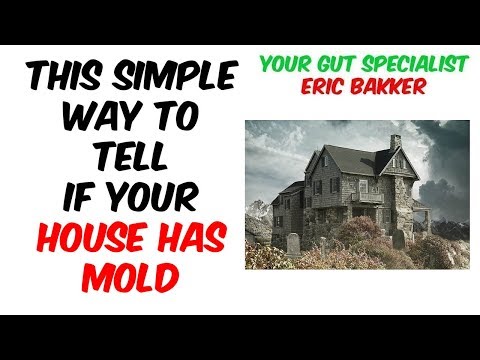 video-linktoworks-How Do You Know If Your House Has A Mold Problem?