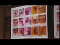 MELANOMA CURE