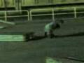 videos de torre mini box streetboard.3gp