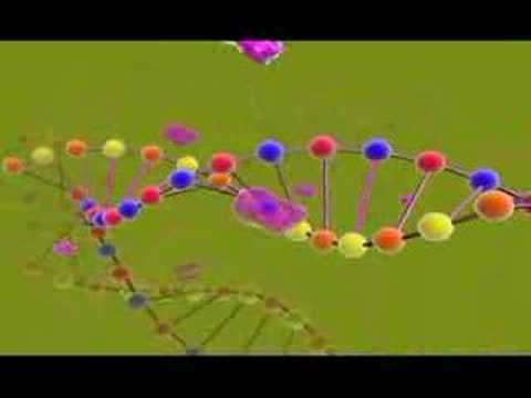 DNA