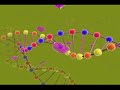 DNA