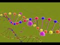 DNA