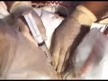 Femoral Nerve Block Femoral Nerve Block