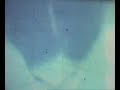 2DivesClean
